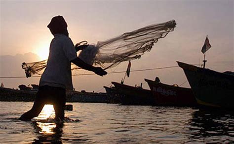World Fisheries Day 2017: Dams, Rivers & Fisheries in India – SANDRP