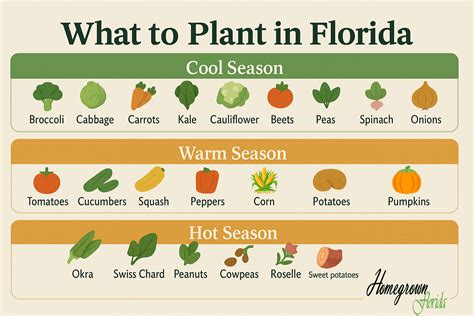 When Is Season In South Florida