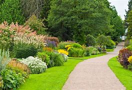 Image result for Landscaping Bushes and Shrubs Pictures
