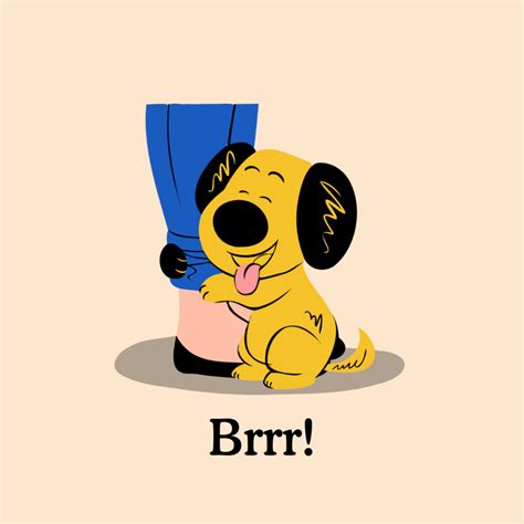 Dog Zoomies: what is it and why does it happen? | Zigzag