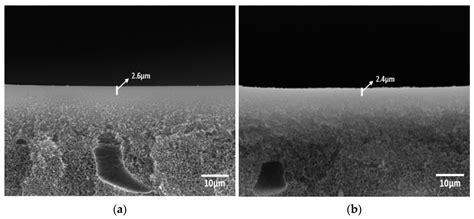 Interactions of Ag Particles Stabilized by 7,7,8,8 ...
