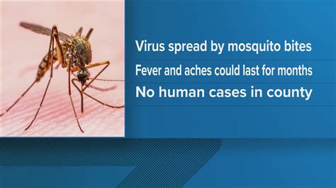 West Nile Virus detected in mosquitoes in Pickaway County | 10tv.com