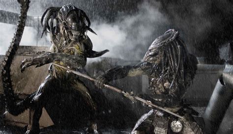 Image result for Alien vs Predator 2004 Review