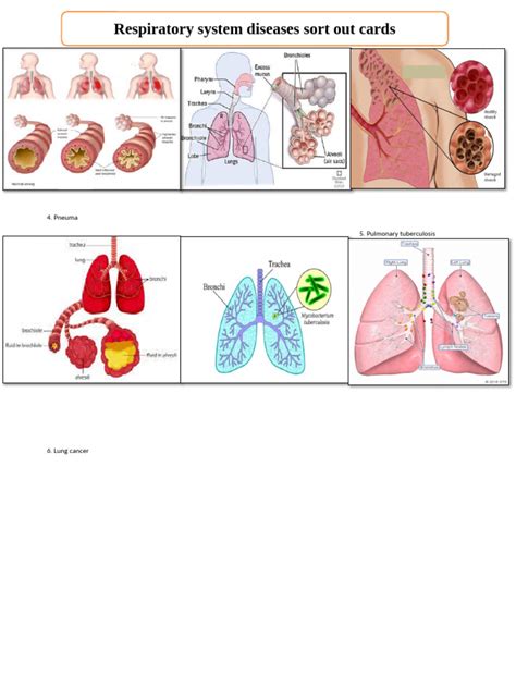 respiratory system diseases (1) | PDF