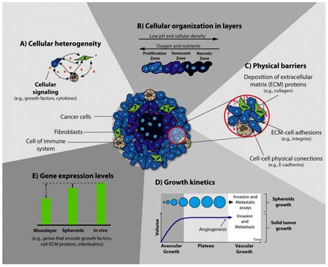 Recent Advances in Three-Dimensional Multicellular Spheroid Culture and ...