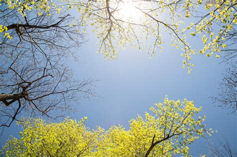 Image result for Fresh Spring Weather