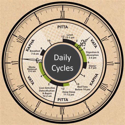 Early to bed and early to rise – an Ayurveda perspective – EGA Wellness