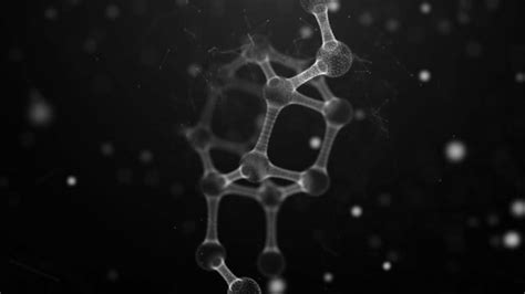 Image result for Cell Structure Animation