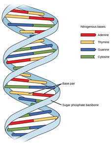 Image result for DNA Microarray Device