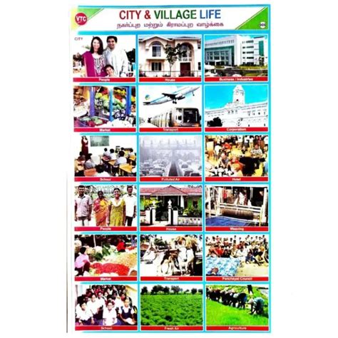 Buy City & Village Life School Project Chart Stickers Online in ...