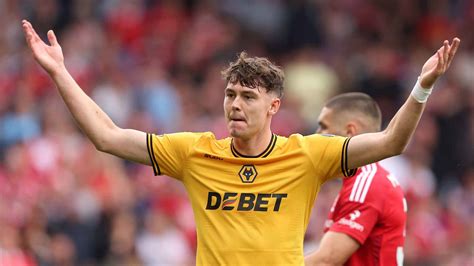 Image result for Wolves Forwards