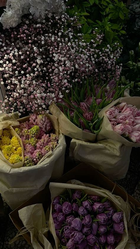 Image result for Click Spring Shop Tour