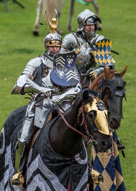 17 war horse breeds history pictures – Artofit