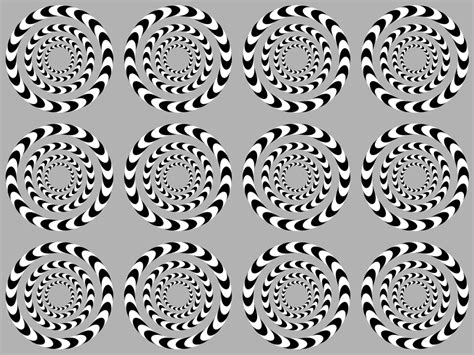 Image result for Image Gradient Calculation in Computer Vision