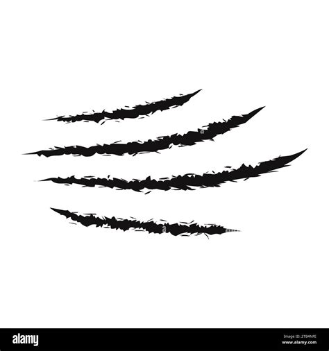 Image result for Tiger for Scratch Coding