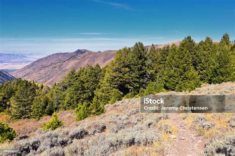 Image result for HTTP Synchronous Vs. Asynchronous