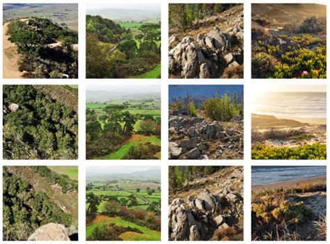 A Note on the Depth-from-Defocus Mechanism of Jumping Spiders