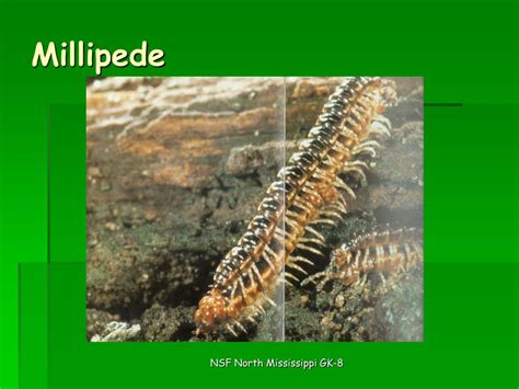 Image result for Decomposition Code Programing