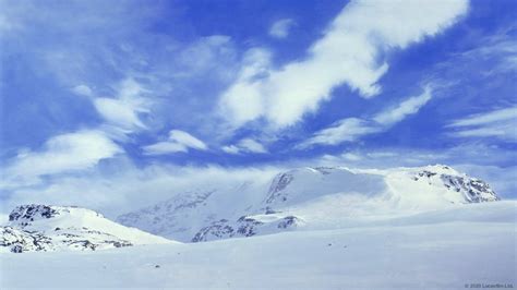 Black Background for Teams Meeting 的图像结果