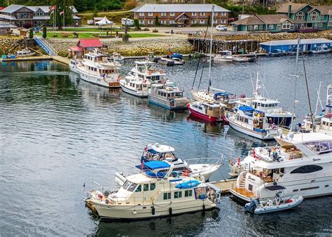 Shearwater Tourism (2024): Best of Shearwater, Canada - Tripadvisor