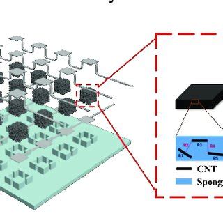 Image result for Sensing Array