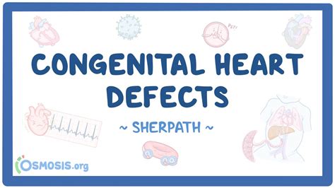 Image result for Heart Development Disorders