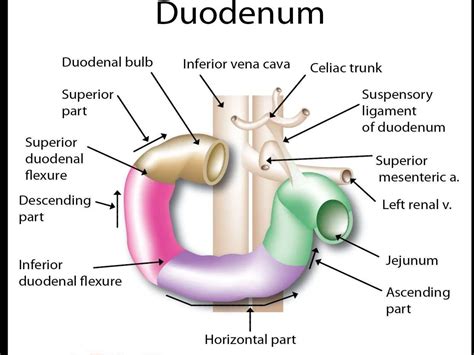 Image result for Programm Design PowerPoint