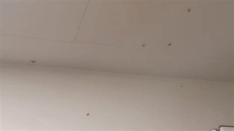 HAPPINESS BEACH RESORT SIARGAO (Siargao Island/General Luna ...