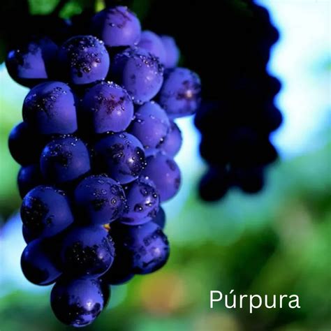 How to Say Purple in Spanish: 15 Colorful Ways to Express It