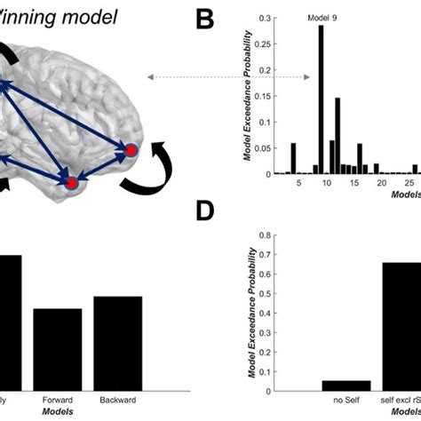 Rezultat imagine pentru Model Effects