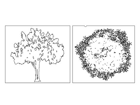 Free CAD Tree Usage Tutorial 的图像结果
