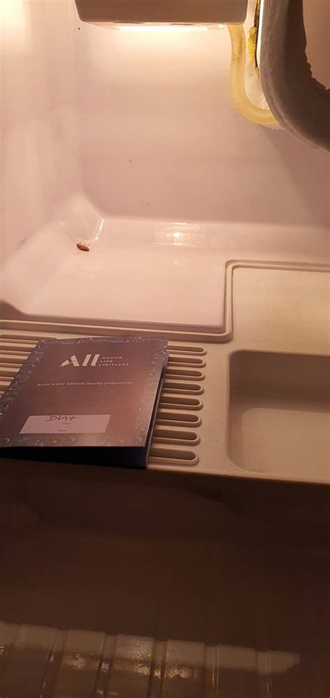 PULLMAN PHUKET KARON BEACH RESORT - Resort Reviews, Photos, Rate ...