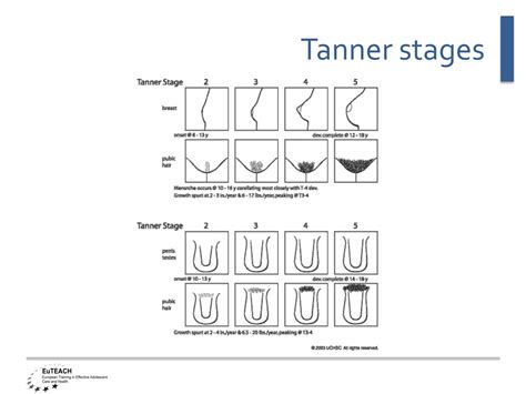 PPT - Definition of adolescence and bio-psychosocial development during ...