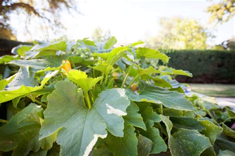 Tour the Facility - Shaw Mountain of Cascadia