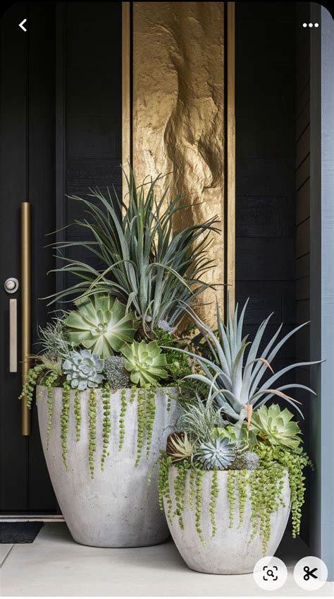 Pin by Daniel Munk on Plants/Planters | Potted plants outdoor, Outdoor ...