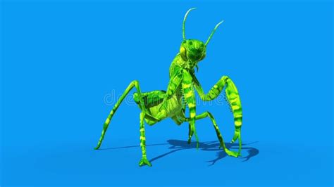 Image result for C4d Insect Walk Cycle Tutorial