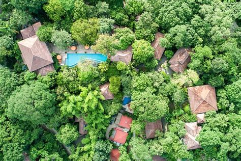 BODHI TREE YOGA RESORT (Nosara) - Hotel Reviews, Photos, Rate ...