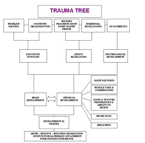 Image result for Process of Trauma Chart