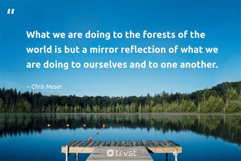 Quotes About Environment 的图像结果