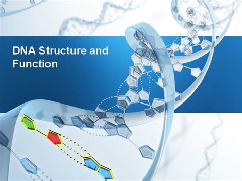 Image result for Normal DNA Function