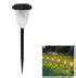 Solar Spike Lights for Outdoor Garden Decoration – Hardoll