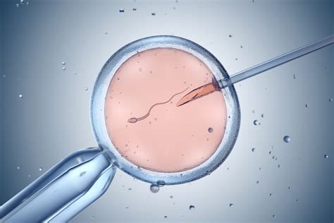 Failed IVF Cycles: Next Steps and Options for Moving Forward