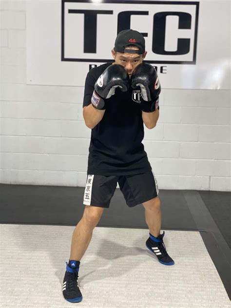 Punch Combat 的图像结果