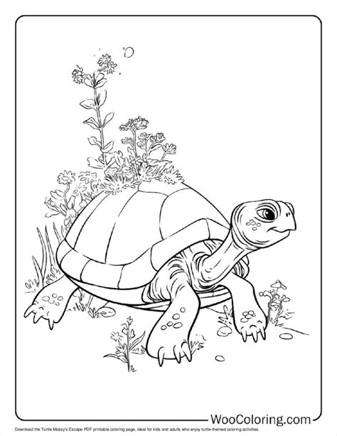 Image result for Turtle with Gun Coloring Pages Printable