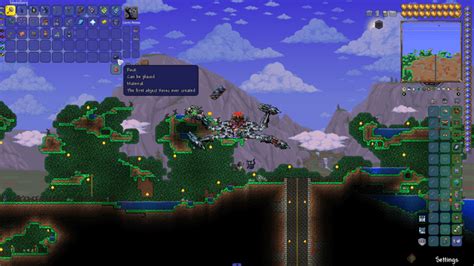 Summoner Build Calamity Mod 的图像结果