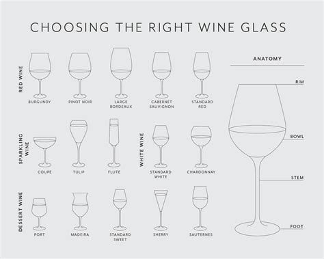 Types Of Red Wine Glasses