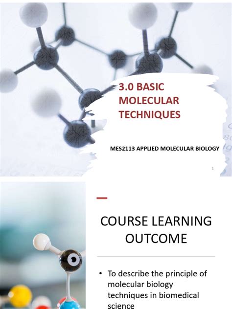 3.0 Basic Molecular Techniques | PDF | Gel Electrophoresis | Agarose ...