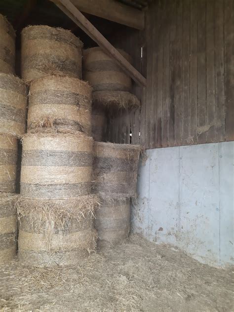 the bugs in farming... : r/farmingsimulator