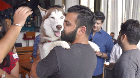Pet Fed Pre Pupper Party I LBB, Mumbai