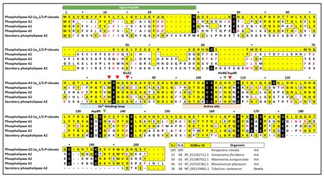 An Integrated Proteomic and Transcriptomic Analysis Reveals the Venom ...